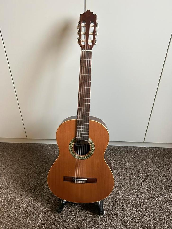 Mooie paco castillo 201 7/8 klassieke gitaar, met extra’s, Muziek en Instrumenten, Snaarinstrumenten | Gitaren | Akoestisch, Zo goed als nieuw