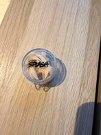 Zwemmen neusclip, Enlèvement ou Envoi