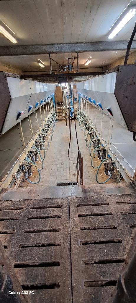 melkmachine, Dieren en Toebehoren, Runderen, 11 jaar of ouder