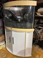 Jewel aquarium met voetkast, Dieren en Toebehoren, Ophalen, Gebruikt, Leeg aquarium