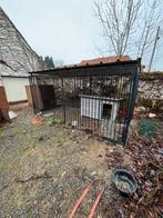 Hondenkennel met hok, Dieren en Toebehoren, Ophalen, Hondenkennel, 100 cm of meer, 110 cm of meer