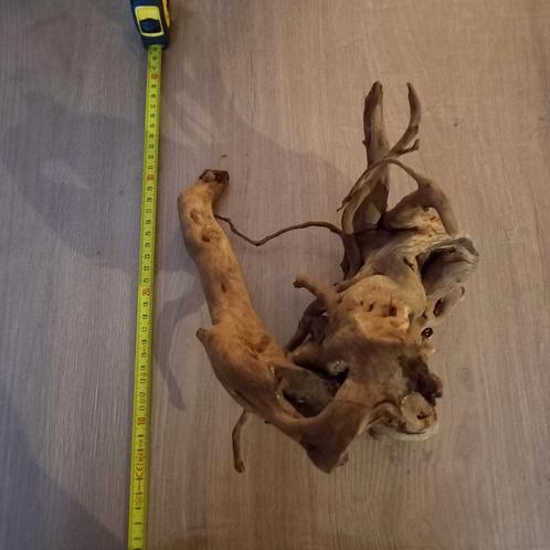 Spiderwood – ca. 40 cm – natuurlijk hout voor aquascaping, Dieren en Toebehoren, Vissen | Aquaria en Toebehoren, Gebruikt, Plant(en), Steen of Hout