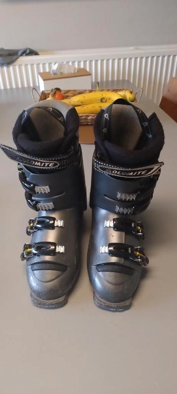 Chaussures de ski taille 39