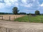 Paardenverblijf met weidegang te Geraardsbergen, Dieren en Toebehoren, Weidegang, 4 paarden of pony's of meer