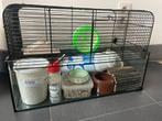 Compleet startpakket voor hamster, Dieren en Toebehoren, Ophalen, Gebruikt, Kooi, Hamster