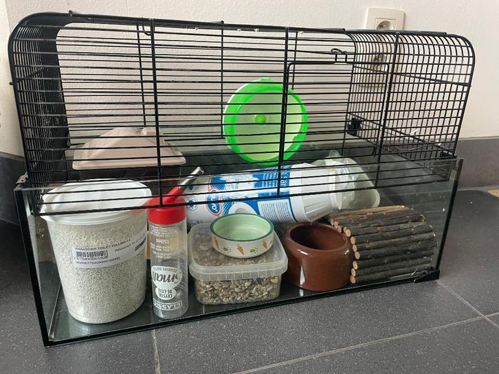 Compleet startpakket voor hamster, Dieren en Toebehoren, Knaagdieren en Konijnen | Hokken en Kooien, Gebruikt, Kooi, Hamster, Ophalen