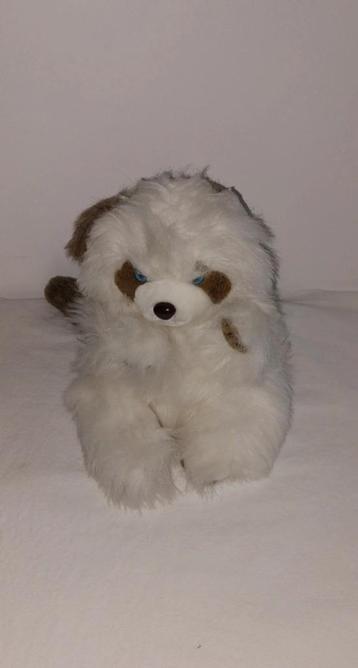 pluche knuffel wasbeer beschikbaar voor biedingen