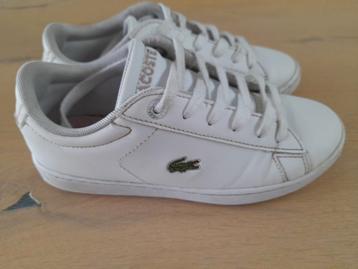 Sneakers Lacosta taille 32