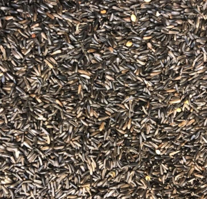 Negerzaad 1kg - Enkelvoudige zaden - Winkel en Webshop, Dieren en Toebehoren, Vogels | Toebehoren, Nieuw, Ophalen