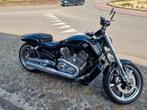 harley davidson v-rod muscle, 4 cylindres, 1250 cm³, Particulier, Plus de 35 kW