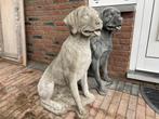 Labrador Retriever en meer honden beelden, Tuin en Terras, Ophalen, Nieuw, Beton, Dierenbeeld