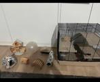 Zo goed als nieuwe Cavia/ Hamster kooi, Ophalen, Kooi, Cavia