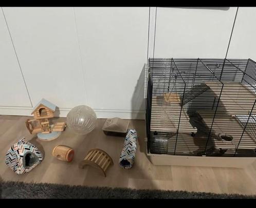 Zo goed als nieuwe Cavia/ Hamster kooi, Dieren en Toebehoren, Knaagdieren en Konijnen | Hokken en Kooien, Kooi, Cavia, Ophalen