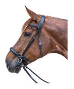 Bitloos hoofdstel pony, Dieren en Toebehoren, Paarden