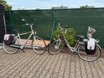 Elektrische Giant fietsen, Fietsen en Brommers, Ophalen, Gebruikt, Giant