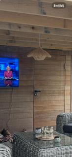 Buiten hang lamp in riet, Huis en Inrichting, Ophalen of Verzenden, Zo goed als nieuw