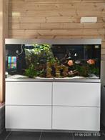 Aquarium Oase Higline 400, Dieren en Toebehoren, Ophalen, Gebruikt, Leeg aquarium