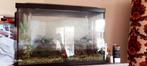 Aquarium, Huis en Inrichting, Kasten | Vitrinekasten, Ophalen of Verzenden, Zo goed als nieuw