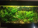 Aquarium Juwel Rio 125 met meubel, Dieren en Toebehoren, Vissen | Aquaria en Toebehoren, Ophalen