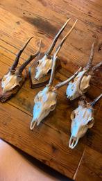 5 stuks, Ophalen, Gebruikt