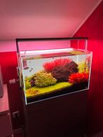 ADA 60P | Oase Biomaster - Co2Art - ADA Aquasky -, Dieren en Toebehoren, Ophalen, Gebruikt, Leeg aquarium