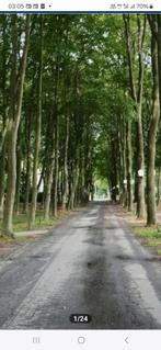 Gezellige vakantiesluiting te huur voor Kerstvakantie, Vakantie