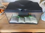 Aquarium 60L + Toebehoren, Ophalen of Verzenden, Gebruikt, Leeg aquarium