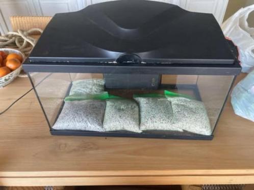 Aquarium 60L + Toebehoren, Dieren en Toebehoren, Vissen | Aquaria en Toebehoren, Gebruikt, Leeg aquarium, Ophalen of Verzenden
