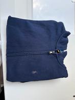 Pull Ralph Lauren, Enlèvement ou Envoi, Ralph Lauren, Porté, Bleu