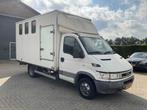 Iveco Daily 40C12 375 Paardenwagen klein rijbewijs, Gebruikt, Iveco, Overige brandstoffen, Bedrijf