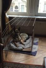bench big dog, Ophalen, Gebruikt