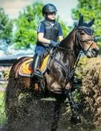 Grote allround C-pony merrie, Dieren en Toebehoren, Merrie, B, C pony (1.27m tot 1.37m), 11 jaar of ouder