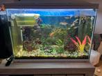 Aquarium met vissen, Dieren en Toebehoren, Ophalen of Verzenden, Zo goed als nieuw