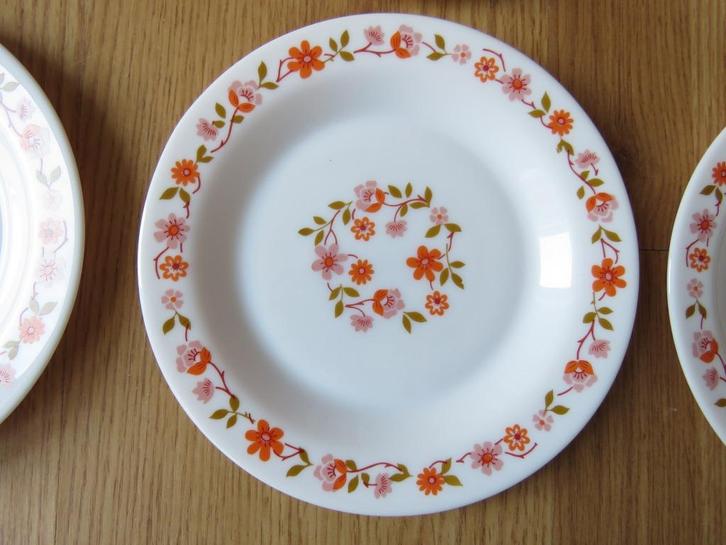 vintage arcopal 6 assiettes a dessert motifs fleuris scania, Huis en Inrichting, Keuken | Servies, Zo goed als nieuw, Bord(en)