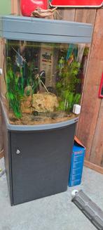 Aquarium sera, Ophalen, Zo goed als nieuw