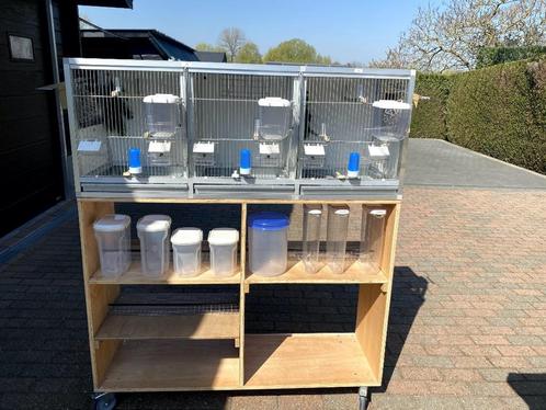 KWEEK KOOI - UITVLIEGKOOI, Dieren en Toebehoren, Vogels | Hokken en Kooien, Zo goed als nieuw, Broedkooi of Kweekkooi, Aluminium