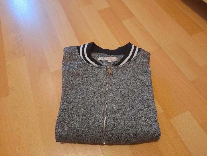 Millenium bomber/vest met subtiele glitter, Kleding | Dames, Truien en Vesten, Zo goed als nieuw, Maat 42/44 (L), Grijs, Ophalen of Verzenden