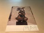 Rik Poot Sculptures 40 pages, Comme neuf, Enlèvement ou Envoi, Sculpture