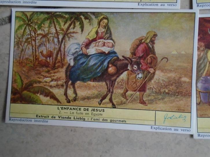 “LIEBIG” GECONSERVEERDE GROENTEN/COLLECTIE FOTOKAARTEN, Antiek en Kunst, Antiek | Overige Antiek, Ophalen of Verzenden