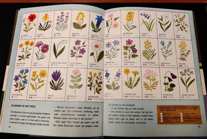 Planten. Alain Grée, Boeken, Kinderboeken | Jeugd | onder 10 jaar, Non-fictie, Ophalen of Verzenden