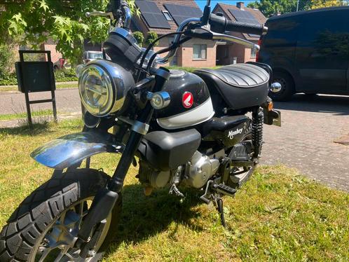 Honda Monkey 125, Motoren, Motoren | Honda, Particulier, Naked bike, 11 kW of minder, 1 cilinder, Ophalen