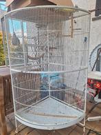 Hoek voliere, Dieren en Toebehoren, Vogels | Hokken en Kooien, Ophalen of Verzenden