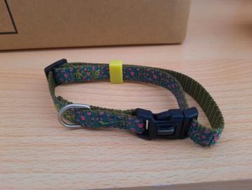 Halsbandje kat beschikbaar voor biedingen