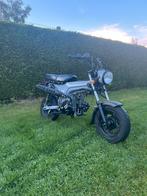 Dax 50 cc B klasse, Ophalen, Zo goed als nieuw