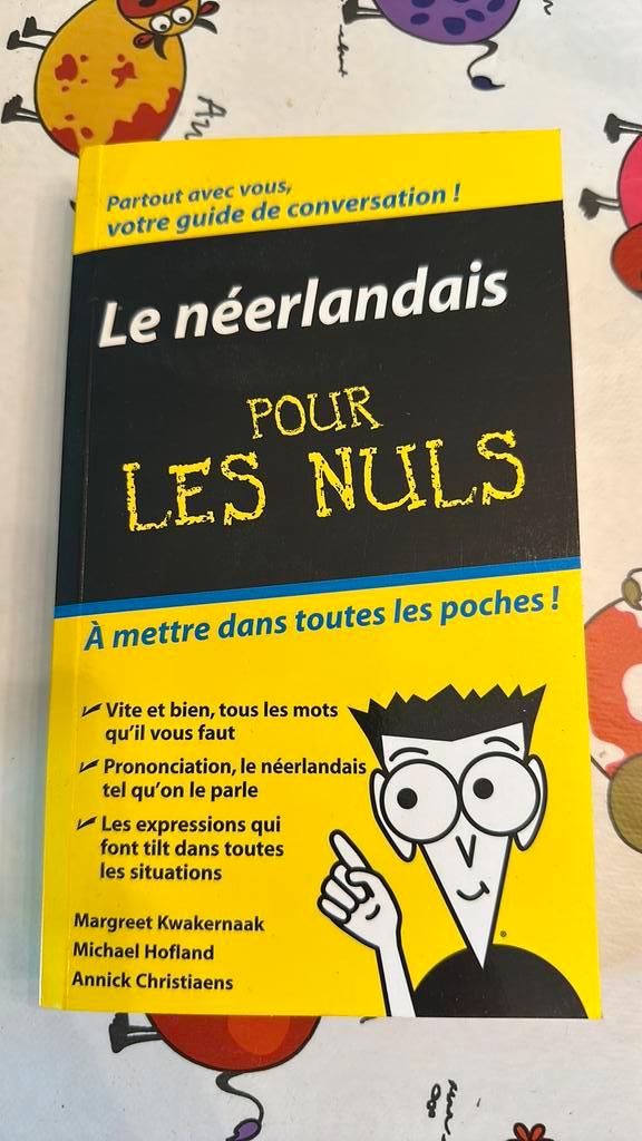 Le Néerlandais pour les nuls, Boeken, Advies, Hulp en Training, Zo goed als nieuw, Ophalen of Verzenden