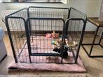 Puppyren of bench, Dieren en Toebehoren, Hondenbenches, Ophalen of Verzenden, Zo goed als nieuw