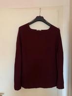 Pull neuf edc t.XL laine/coton couleur cerise, Ophalen of Verzenden, Nieuw, Maat 46/48 (XL) of groter, Paars
