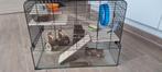Hamsterkooi in glas, Dieren en Toebehoren, Knaagdieren en Konijnen | Hokken en Kooien, Ophalen, Zo goed als nieuw