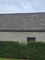 Dakpannen Heylen Vintage gesmoord/leikleur., Doe-het-zelf en Bouw, Ophalen, Zo goed als nieuw, Dakpannen