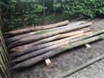 Kastanje palen diam. 10cm, Tuin en Terras, Palen, Balken en Planken, Ophalen, Gebruikt, Palen